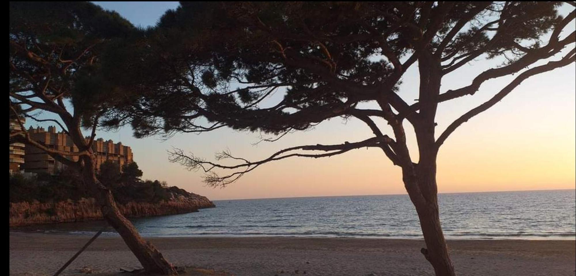 A Estrenar Preciosos Apartamentos Aparthotel Inter2, New Apartments Ln Aparthotel 12 Months Open! Self Check In! Reserva Garaje! Salou Rum bild
